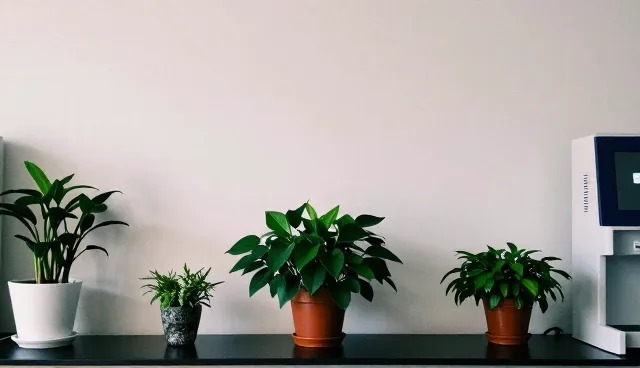 外墙清洗如何应对不同场景，提升维护效率